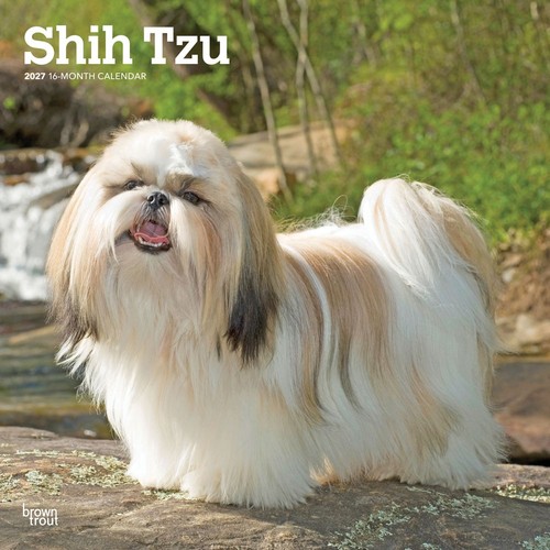 Shih tzu 2027 calendar - shih,