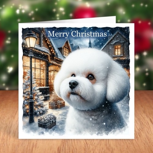 Bichon frise dog - dog, christmas