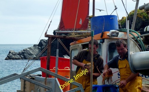 Photo 6x4 cadgwith - cadgwith, catch