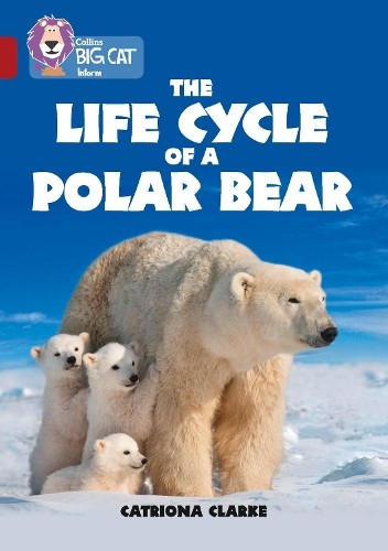 The life cycle - the,