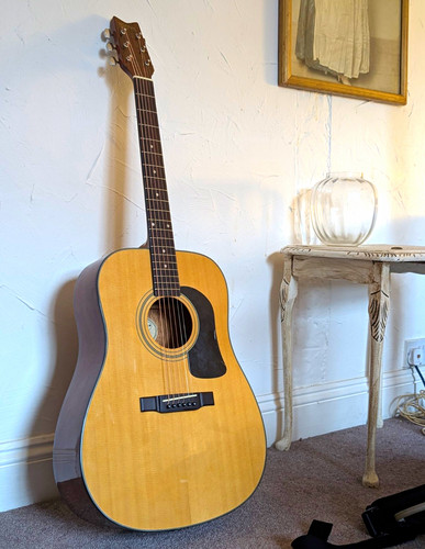 Acoustic george washburn - ,