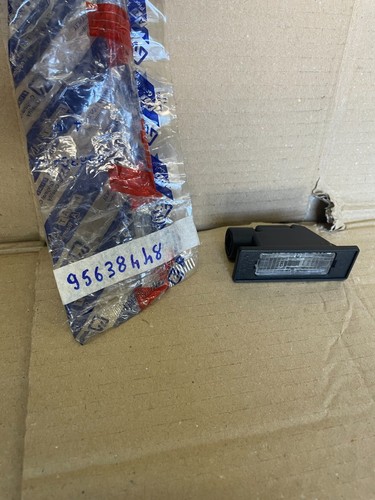 Citroen license plate light