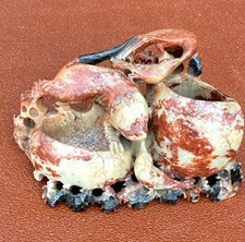 Vintage Chinese Soap Stone Carving with Serpent and  Bird With 2 Pots.