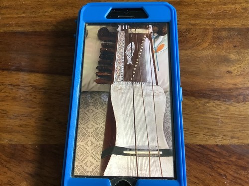 Beautiful indian sarangi - beautiful,