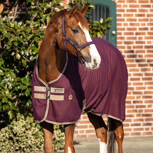 Horseware amigo stable sheet - horseware,