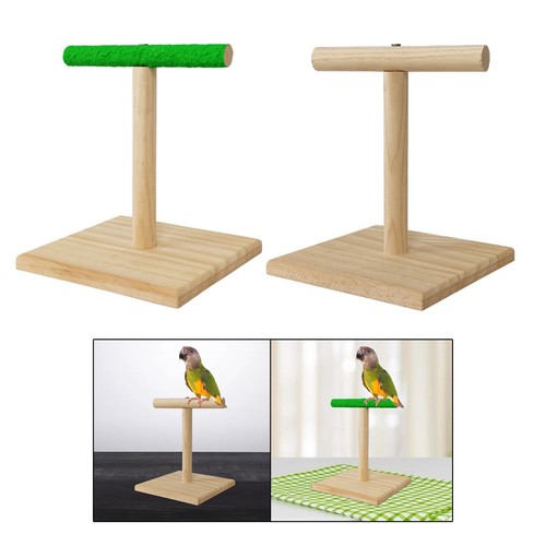 Parrot stand playstand - stand,