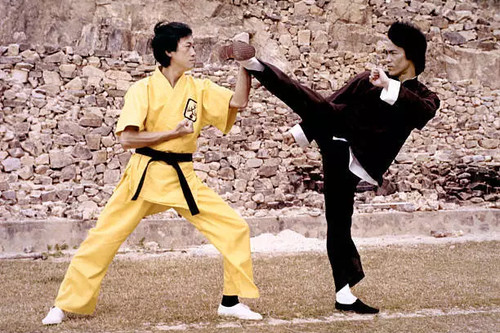 Bruce lee enter - in, the
