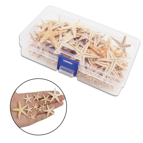 Natural starfish craft - starfish, project