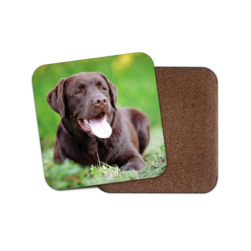 Chocolate labrador coaster - coaster,