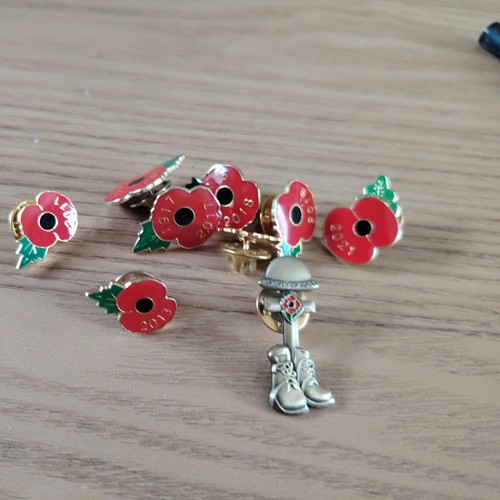 Small enamel poppy total - in,