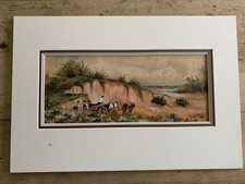SANDHILLS SURREY WATERCOLOUR