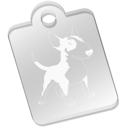 Standing bull terrier - 'standing,
