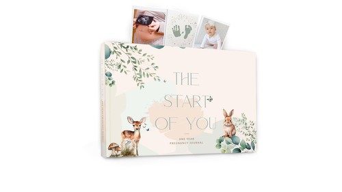 Pregnancy journal planner - pregnancy,
