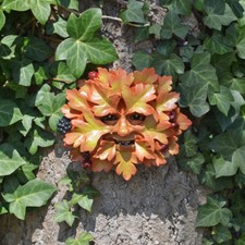 Hawthorn Green Man Garden