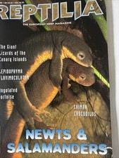 Newts And Salamanders Reptilia
