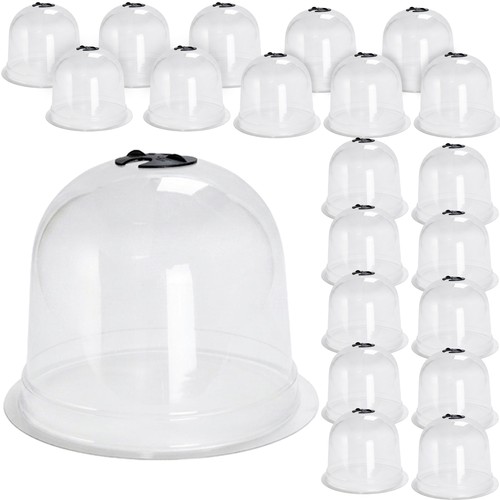 Pack garden plant - pack,