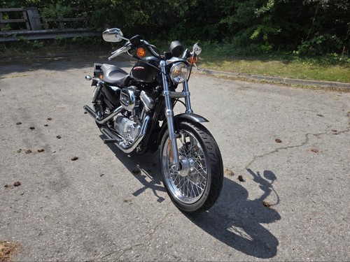 2006 harley davidson - 2006, sportster