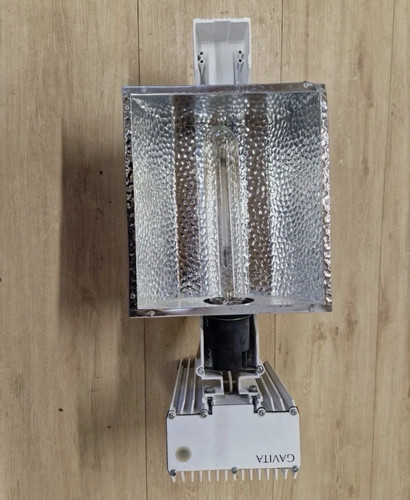 Gavita pro 600w - 600w, lights