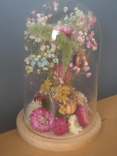Dried preserved flower - dried,