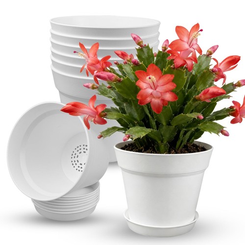 15cm plant pots indoor - 15cm/6,