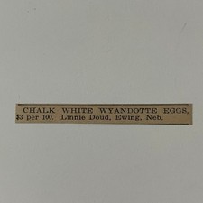 Chalk White Wyandotte Eggs