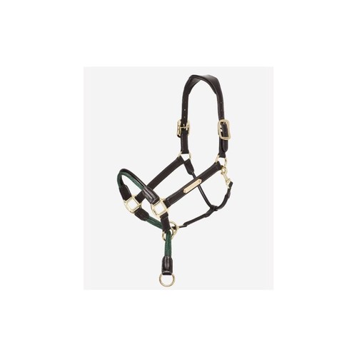 Lemieux rope control - rope,