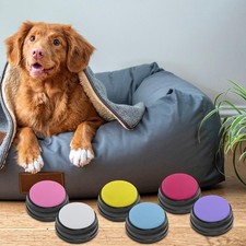 Recordable Sound Button