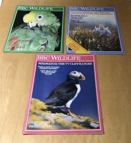 Collection issues bbc - 3,