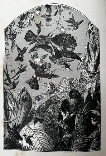 The fables aesop samuel - aesop,,