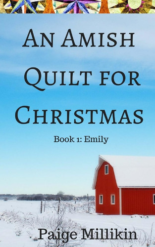 Amish quilt for christmas - an,