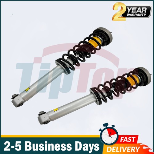 Pair rear shock absorbers - shock,
