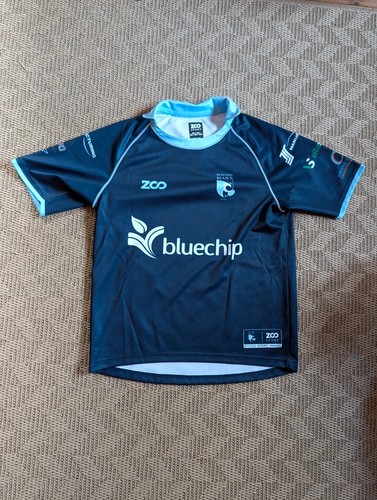 Bedford blues zoo sport - , home