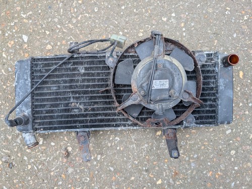 Honda cbr 600 - honda, fan