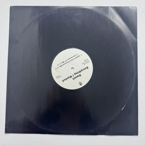 Danni everything wanted - everything, i