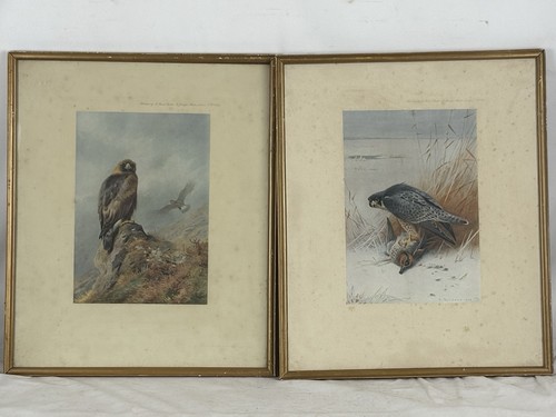 Pair archibald thorburn prints - pair,