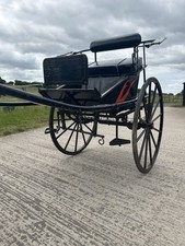 Horse drawn Ltd Fire Fly Competition Gig