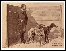 GREYHOUND DOGS AND MAN IN THE