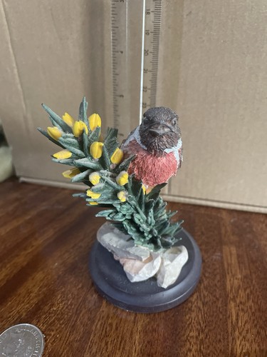 Andy pearce the - the, bird