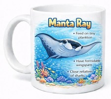 Manta Ray Educational Ocean