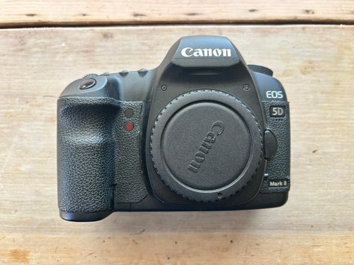 Canon eos mark 21 1mp - canon, 21.1mp