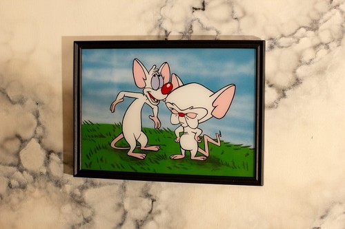 Pinky and the brain - "pinky, brain"