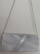 Women Glitter Shimmer Clutch