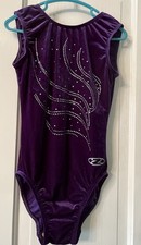 Girls The Zone Leotard Purple