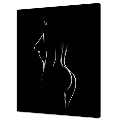 Sexy nude woman - erotic, modern