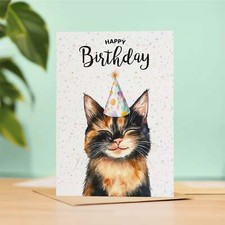 Tortoiseshell Cat Birthday