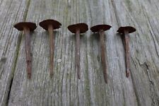 Medieval antique 5 x  iron nails handmade by blacksmith's rare and unique size A