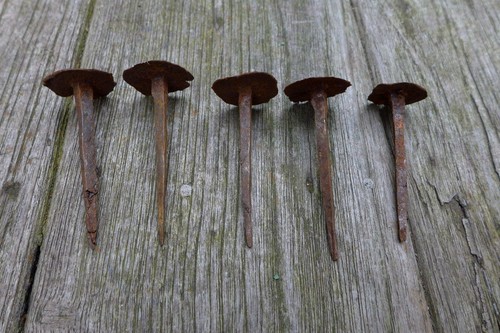 Medieval antique iron - 5,