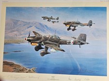 Robert Taylor - STUKA - WW II
