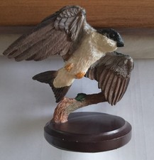 The Country Bird Collection