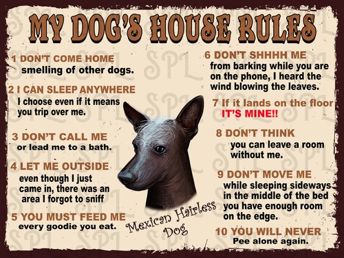 Dog house rules - dog's, mexican